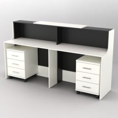 Ресепшн Диада №10 с тумбами, Белый и Черный