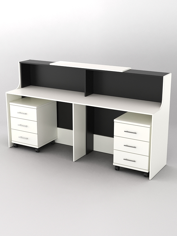 Ресепшн Диада №10 с тумбами, Белый и Черный