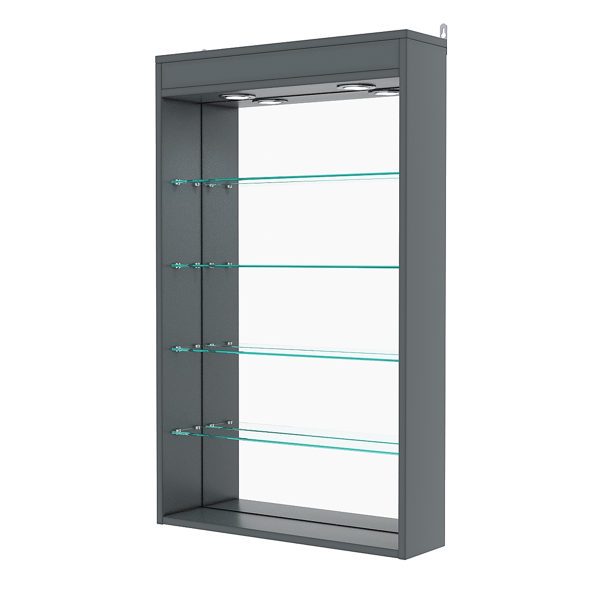 Витрина настенная №2-4Г с зеркалом и с подсветкой, Темно-Серый