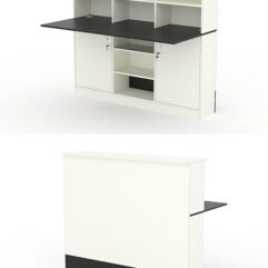 Модуль с царгой и столешницей СТАЙЛ №4Б, Белый и Черный