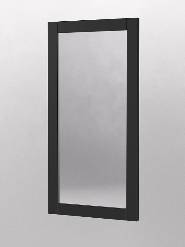 Зеркало для очков ЛОРНЕТ №3 вертикальное, Черный