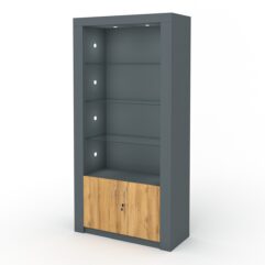 Стеллаж АФРОДИТА №3-4 (задняя стенка - ДВП), Темно-серый и Дуб Золотистый