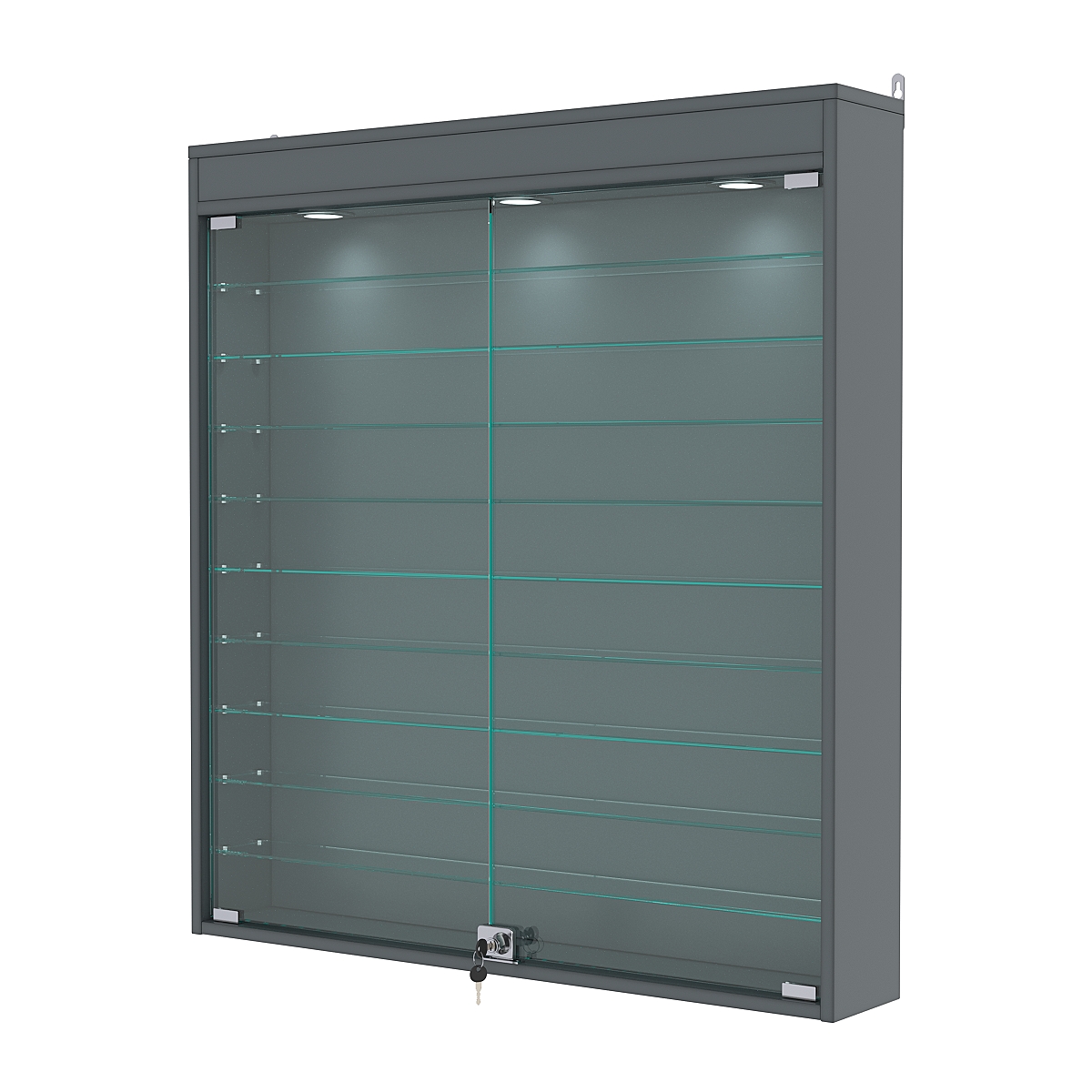 Витрина настенная №4-7А с подсветкой, Темно-Серый