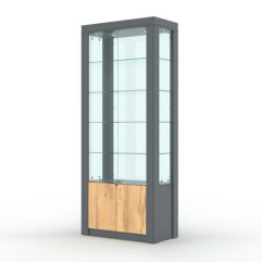 Витрина МОДЕРН №8 (с дверками, задняя стенка - стекло), Темно-серый и Дуб Золотистый