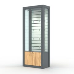 Витрина МОДЕРН №10 (с дверками, задняя стенка - экономпанель), Темно-серый и Дуб Золотистый