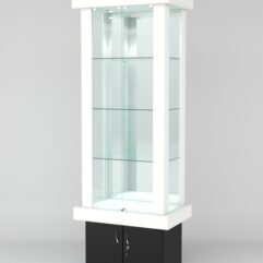 Витрина ЭЛИТА №9-1 (задняя стенка - зеркало), Черный+Белый