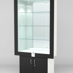 Витрина ЭЛЕКТРА №2-1 (задняя стенка - зеркало), Черный-Белый