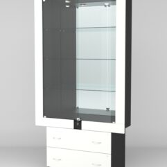 Витрина ЭЛЕКТРА №2-2 (задняя стенка - зеркало), Черный-Белый