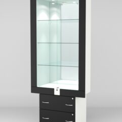 Витрина ЭЛЕКТРА №4-2 (задняя стенка - зеркало), Белый-Черный