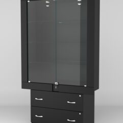 Витрина ЭЛЕКТРА №5-2 (задняя стенка - ДСП), Черный