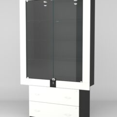 Витрина ЭЛЕКТРА №5-2 (задняя стенка - ДСП), Черный-Белый