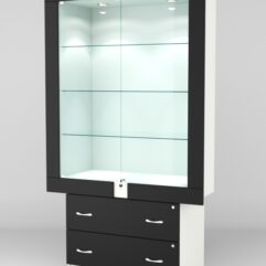 Витрина ЭЛЕКТРА №5-2 (задняя стенка - ДСП), Белый-Черный