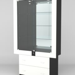 Витрина ЭЛЕКТРА №6-2 (задняя стенка - зеркало), Черный-Белый