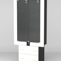 Витрина ЭЛЕКТРА №7-2 (задняя стенка - ДСП), Черный-Белый