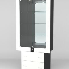 Витрина ЭЛЕКТРА №8-2 (задняя стенка - зеркало), Черный-Белый