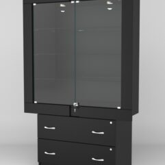 Витрина ЭЛЕКТРА №9-2 (задняя стенка - ДСП), Черный