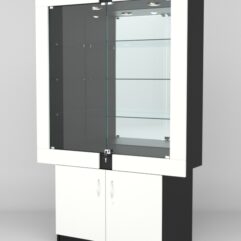 Витрина ЭЛЕКТРА №10-1 (задняя стенка - зеркало), Черный-Белый