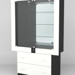 Витрина ЭЛЕКТРА №10-2 (задняя стенка - зеркало), Черный-Белый