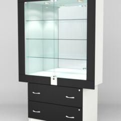 Витрина ЭЛЕКТРА №10-2 (задняя стенка - зеркало), Белый-Черный