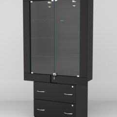 Витрина ЭЛЕКТРА №11-2 (задняя стенка - ДСП), Черный