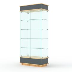 Витрина ФАНТАЗИЯ №1-1 (задняя стенка - стекло), Темно-серый и Дуб Золотистый