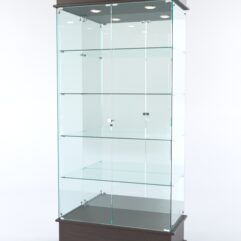 Витрина ФАНТАЗИЯ №1-2 (задняя стенка - зеркало), Дуб Венге