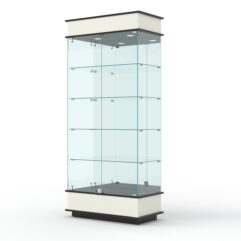 Витрина ФАНТАЗИЯ №1-2 (задняя стенка - зеркало), Белый и Черный