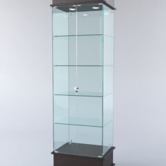 Витрина ФАНТАЗИЯ №2-1 (задняя стенка - стекло), Дуб Венге