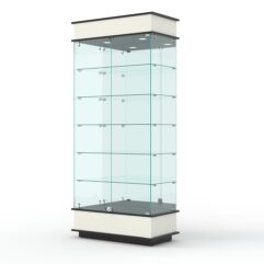 Витрина ФАНТАЗИЯ №4-2 (задняя стенка - зеркало), Белый и Черный