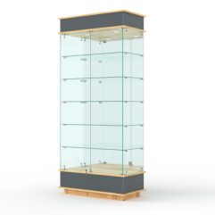 Витрина ФАНТАЗИЯ №4-2 (задняя стенка - зеркало), Темно-серый и Дуб Золотистый