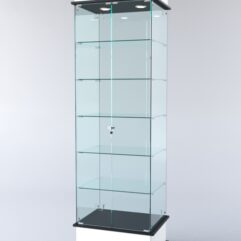 Витрина ФАНТАЗИЯ №5-1 (задняя стенка - стекло), Белый+Черный