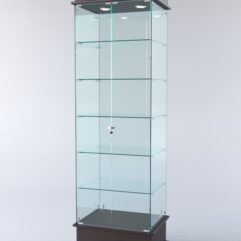 Витрина ФАНТАЗИЯ №5-1 (задняя стенка - стекло), Дуб Венге