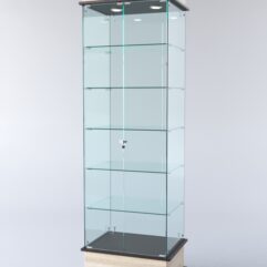 Витрина ФАНТАЗИЯ №5-1 (задняя стенка - стекло), Дуб Сонома + Дуб Венге