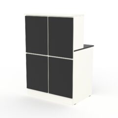 Ресепшн АРТ ДЕКОР №1Г, Белый и Черный