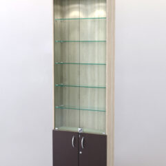 Витрина ШАЛОСТЬ №1-1-600 (задняя стенка ДВП), Дуб Сонома + Дуб Венге