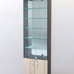 Витрина ШАЛОСТЬ №1-2-600 (задняя стенка зеркало), Дуб Венге + Дуб Сонома