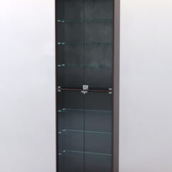 Витрина ШАЛОСТЬ №2-1-600 (задняя стенка ДВП), Дуб Венге + Дуб Сонома