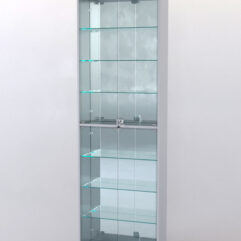 Витрина ШАЛОСТЬ №2-2-600 (задняя стенка зеркало), Серый