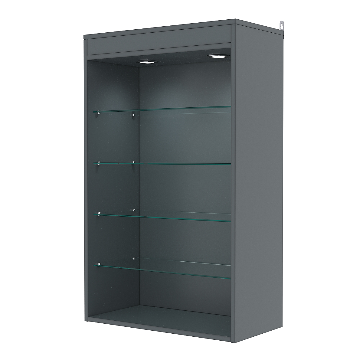 Витрина настенная №2-3ГГ с подсветкой, Темно-Серый