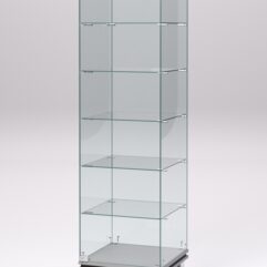 Витрина стеклянная ПРИМАВЕРА МОДЕРН №501 (с дверкой, задняя стенка - стекло), Серый и Дуб Венге