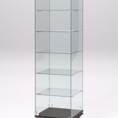 Витрина стеклянная ПРИМАВЕРА МОДЕРН №501 (с дверкой, задняя стенка - стекло), Дуб Венге и Дуб Сонома