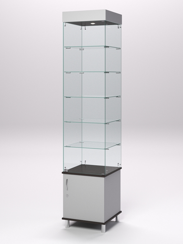 Витрина стеклянная ПРИМА МОДЕРН №502 (с дверкой, задняя стенка - стекло), Серый и Дуб Венге