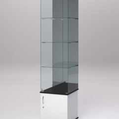 Витрина стеклянная ПРИМА МОДЕРН №4 (с дверкой, задняя стенка - зеркало), Белый и Черный