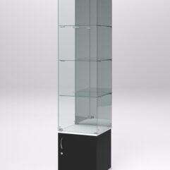 Витрина стеклянная ПРИМА МОДЕРН №4 (с дверкой, задняя стенка - зеркало), Черный и Белый