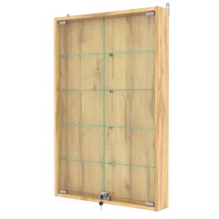 Витрина настенная №2-1АУ, Дуб Золотистый