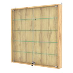 Витрина настенная №4-1АУ, Дуб Золотистый