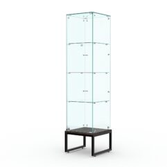 Витрина стеклянная ЛОФТ СТИЛЬ ПОДИУМ №10 (с дверкой, задняя стенка - стекло), Дуб Венге