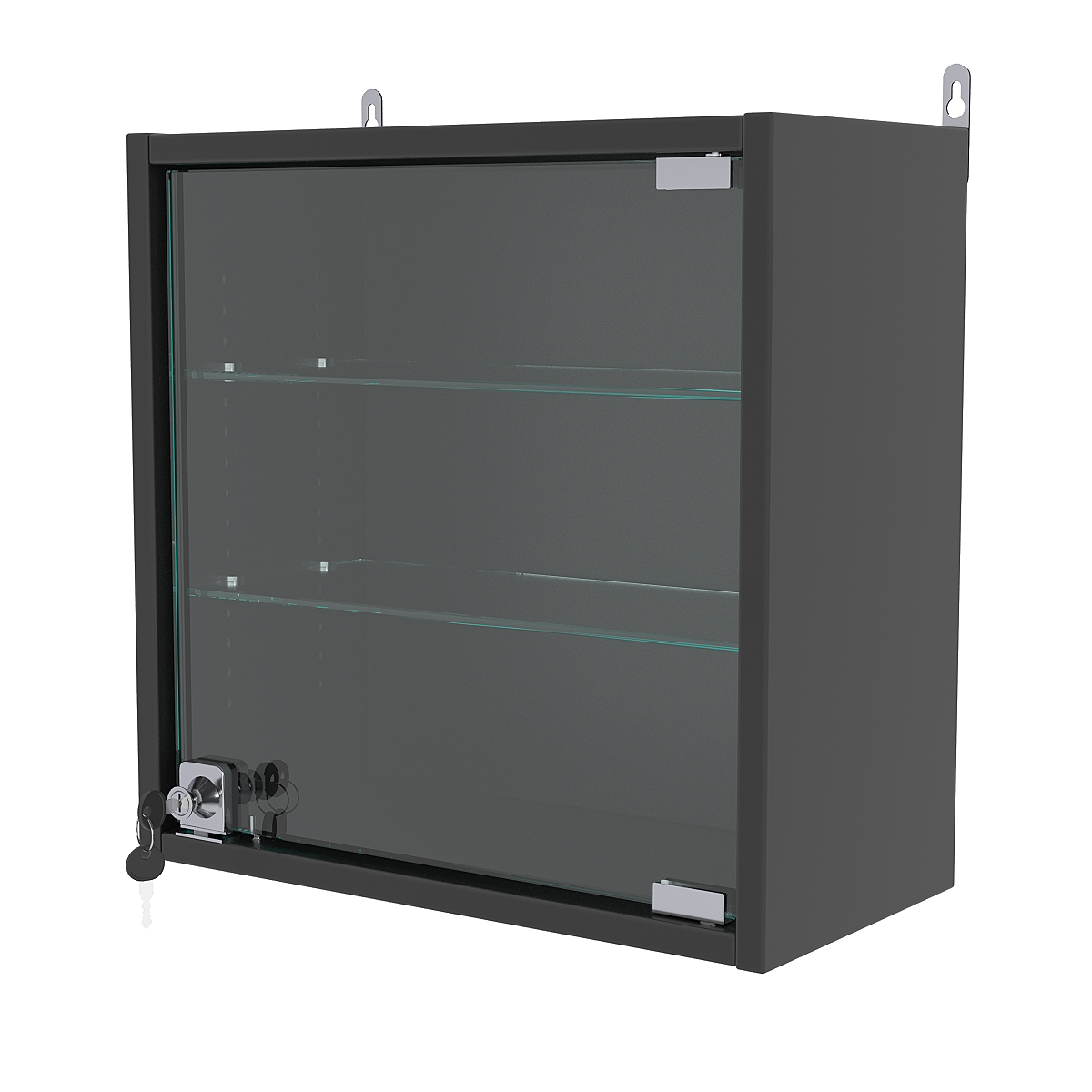 Витрина настенная с регулировочными полками МИНИ 40*40*20-РЕГ, Черный