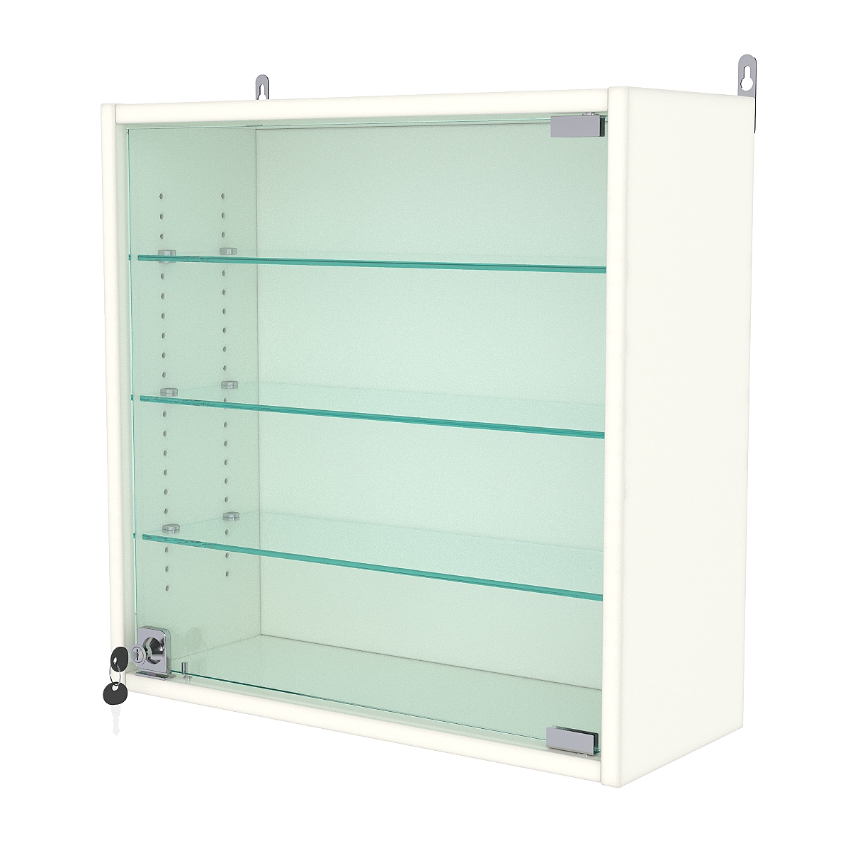 Витрина настенная с регулировочными полками МИНИ 50*50*20-РЕГ, Белый