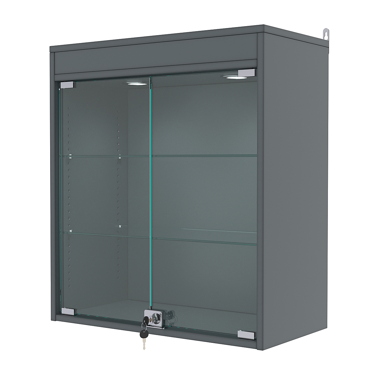 Витрина настенная с регулировочными полками №1-3АГ-РЕГ с подсветкой, Темно-Серый